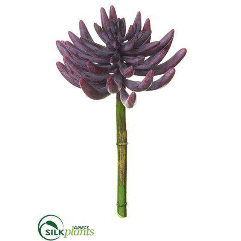 Silk Plants Direct Aeonium Pick – Plum – Pack of 12 Plum