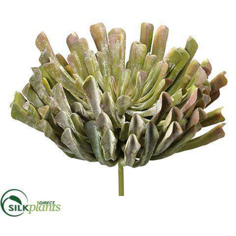 Silk Plants Direct Aeonium Pick – Green Mauve – Pack of 2 Green Mauve