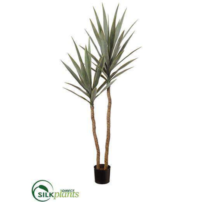 Silk Plants Direct Yucca Tree – Green Frosted – Pack of 2 Green Frosted