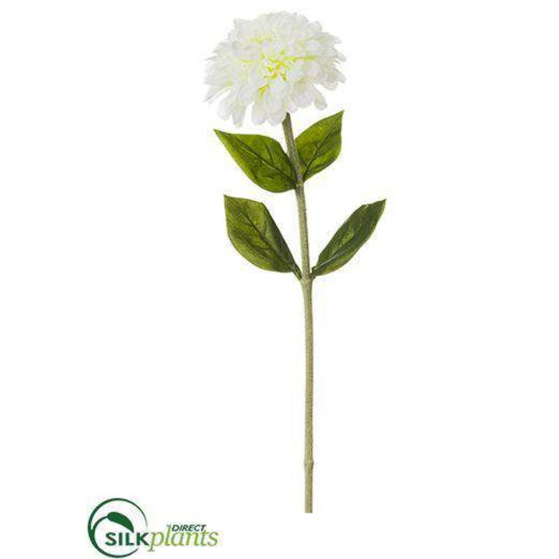Silk Plants Direct Zinnia Spray – Cream – Pack of 12 Cream