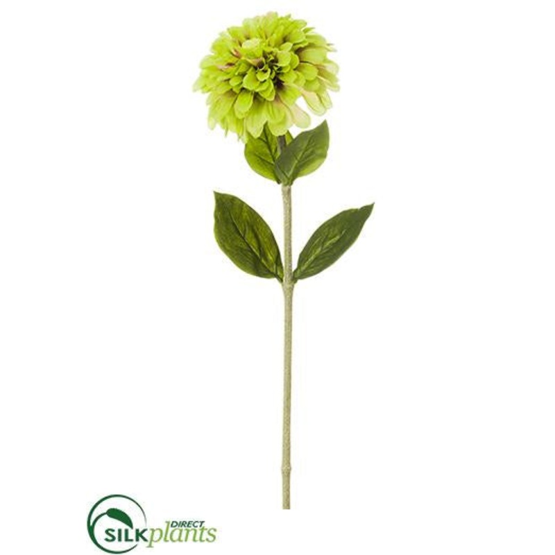Silk Plants Direct Zinnia Spray – Green Light – Pack of 12 Green Light