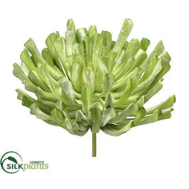 Silk Plants Direct Aeonium Pick – Green Flocked – Pack of 2 Green Mauve