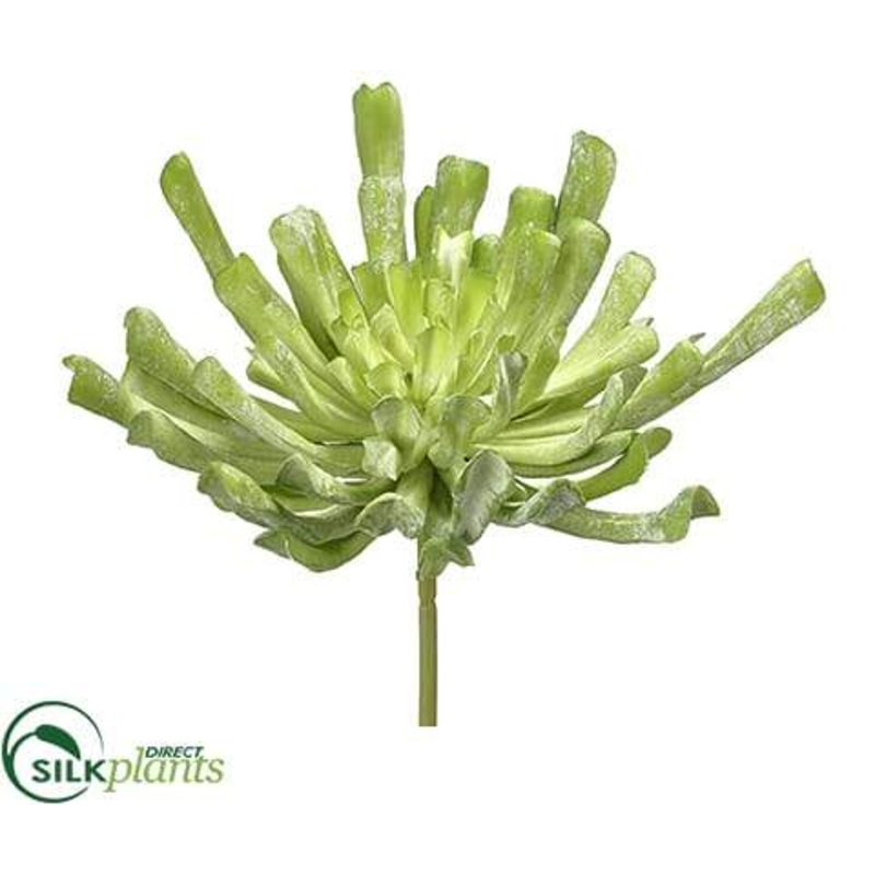 Silk Plants Direct Aeonium Pick – Green Flocked – Pack of 6 Green Flocked