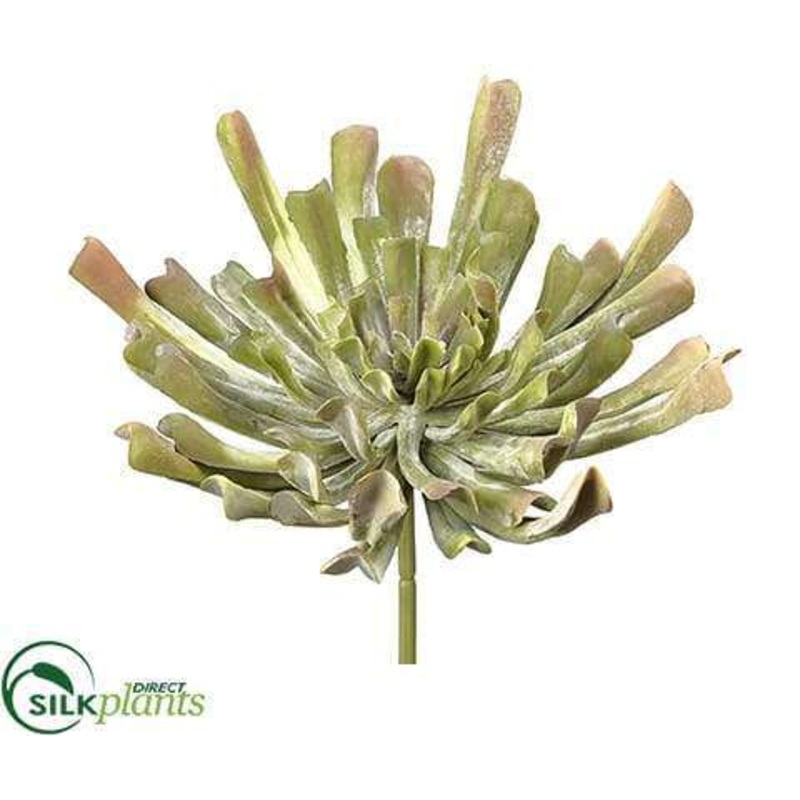 Silk Plants Direct Aeonium Pick – Green Mauve – Pack of 6 Green Mauve
