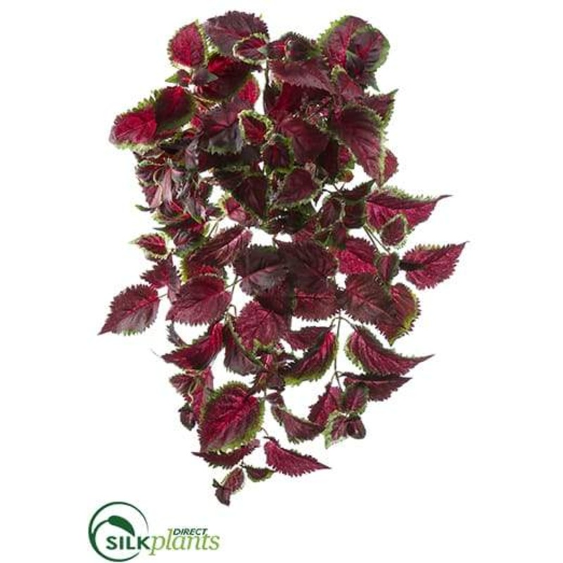 Silk Plants Direct UV Protected Coleus Hanging Bush – Burgundy Green – Pack of 6 Burgundy Green