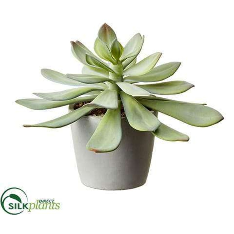 Silk Plants Direct Aeonium – Green Gray – Pack of 4 Green Gray