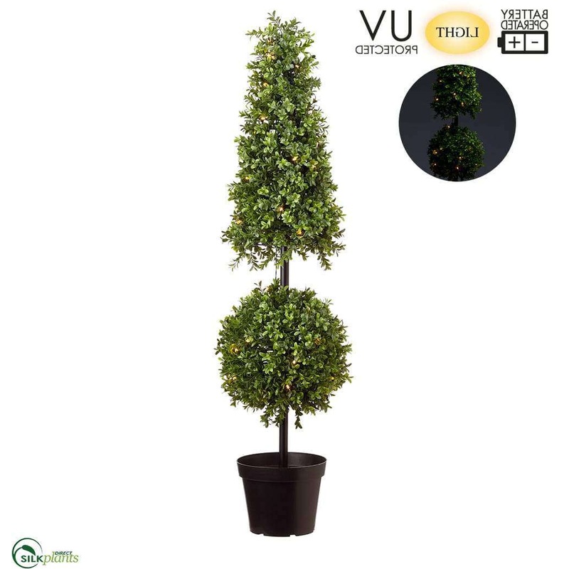 Silk Plants Direct  – Green – Pack of 1 Green