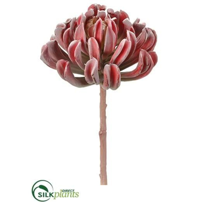 Silk Plants Direct Aeonium Spray – Burgundy Green – Pack of 4 Burgundy Green