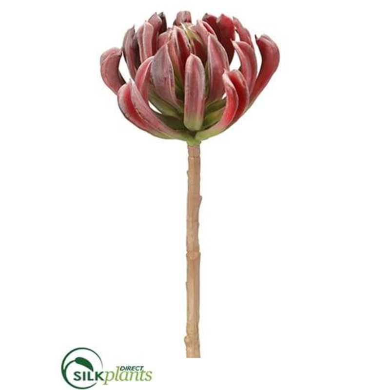 Silk Plants Direct Aeonium Spray – Burgundy Green – Pack of 8 Burgundy Green