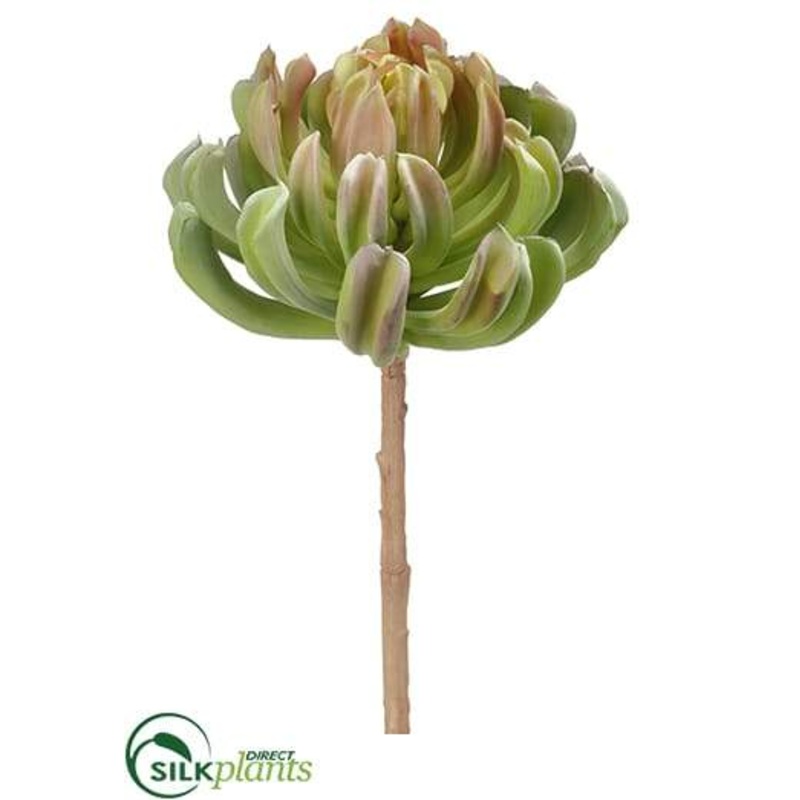 Silk Plants Direct Aeonium Spray – Green – Pack of 4 Green