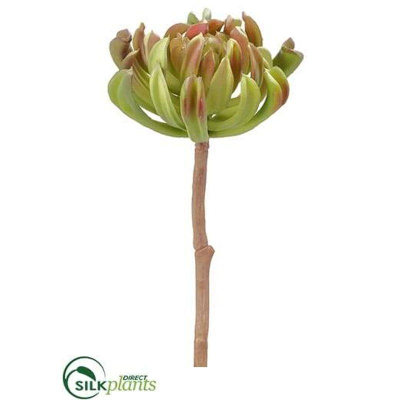 Silk Plants Direct Aeonium Spray – Green – Pack of 8 Green