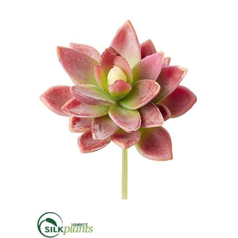 Silk Plants Direct Agave Pick – Red Green – Pack of 12 Red Green