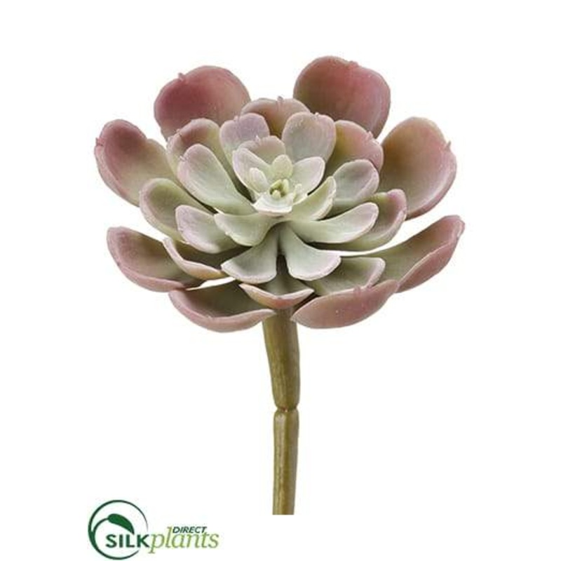 Silk Plants Direct Baby Echeveria – Purple Green – Pack of 24 Purple Green