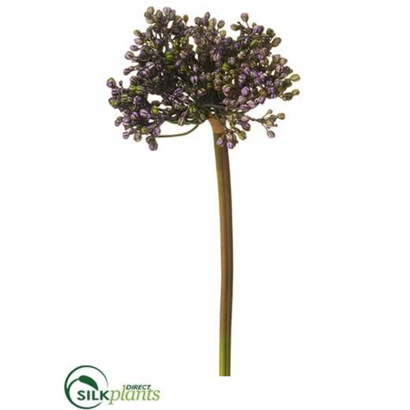 Silk Plants Direct Allium Bud Spray – Lavender Green – Pack of 12 Lavender Green