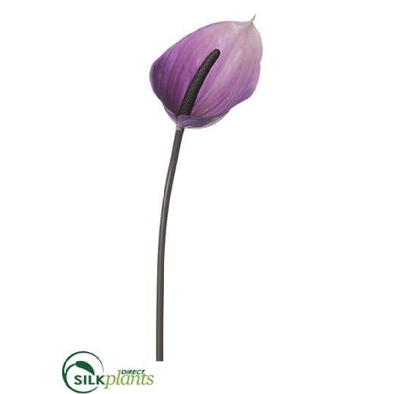 Silk Plants Direct Anthurium Spray – Purple – Pack of 12 Purple