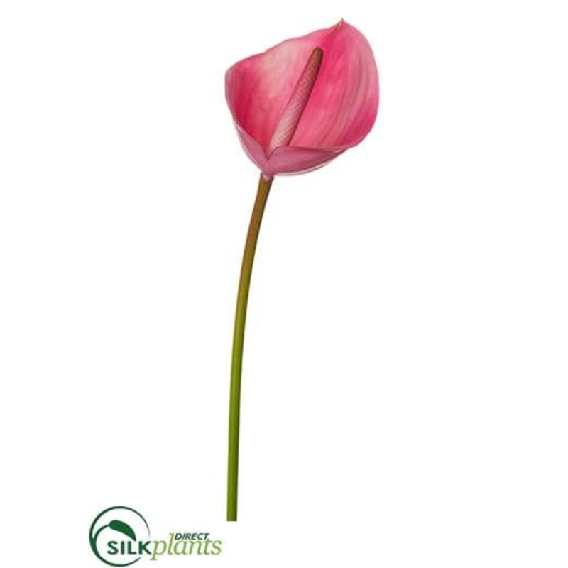Silk Plants Direct Anthurium Spray Spray – Beauty – Pack of 12 Beauty