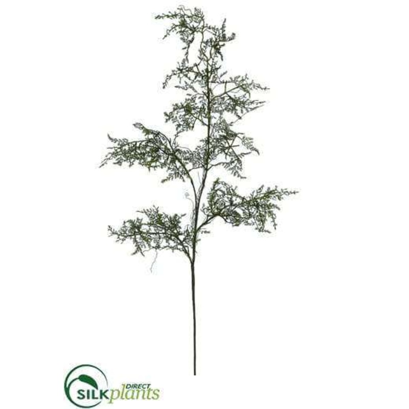 Silk Plants Direct Baby’s Tear Fern Spray – Green – Pack of 12 Green