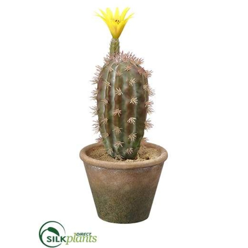 Silk Plants Direct Barrel Cactus – Green Yellow – Pack of 12 Green Yellow