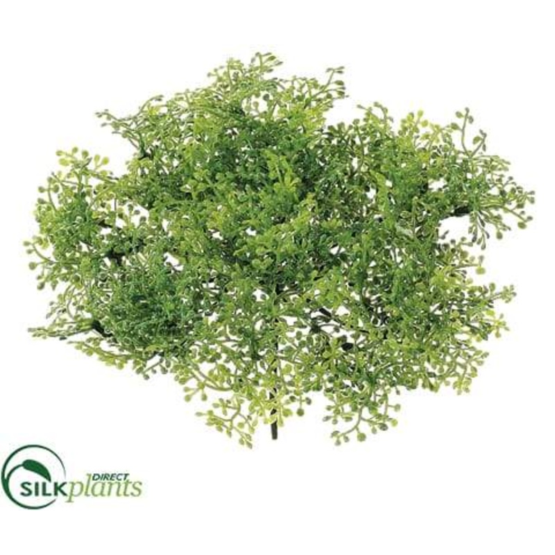 Silk Plants Direct Baby’s Tear Cover – Green Light – Pack of 36 Green Light