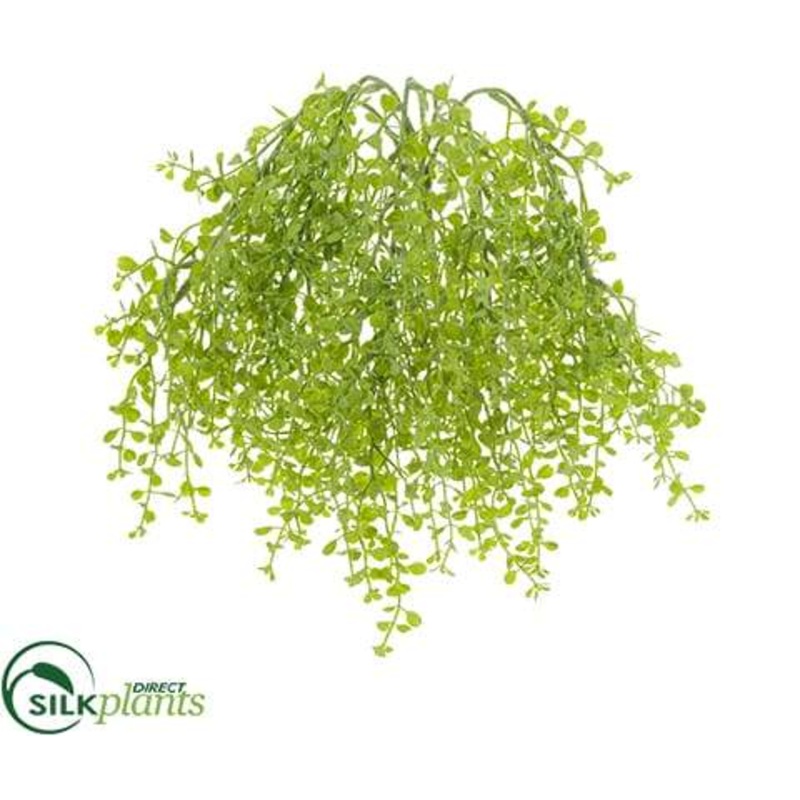 Silk Plants Direct Baby’s Tears Bush – Sage Green – Pack of 12 Sage Green