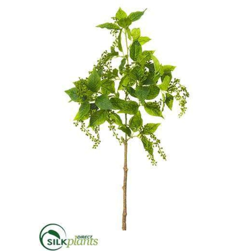 Silk Plants Direct Amaranthus Bud Spray – Green – Pack of 12 Green