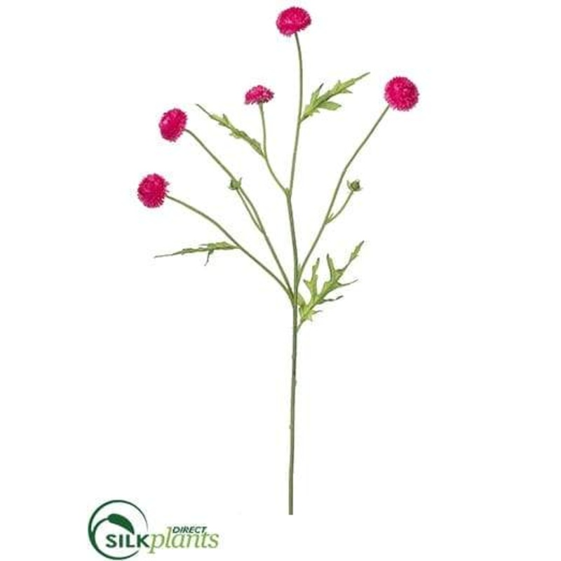 Silk Plants Direct Wild Pompom Spray – Beauty – Pack of 24 Beauty
