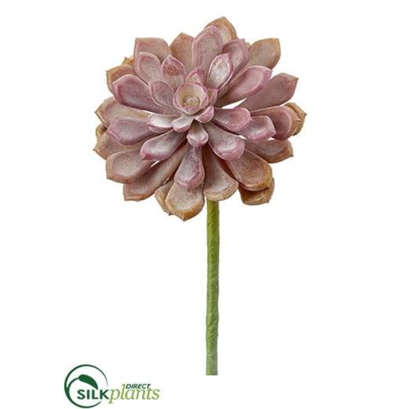 Silk Plants Direct Aeonium Pick – Coral Two Tone – Pack of 12 Coral Two Tone