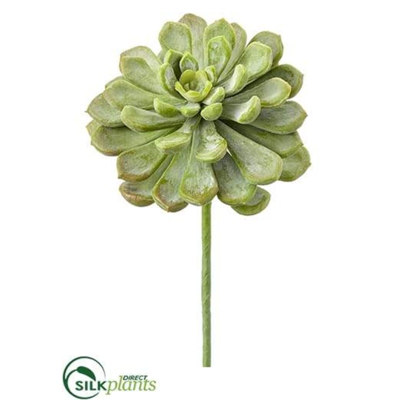 Silk Plants Direct Aeonium Pick – Green Frosted – Pack of 12 Green Frosted