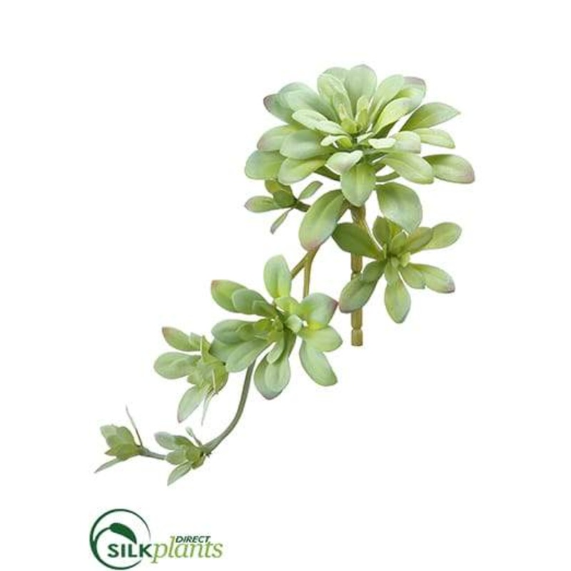 Silk Plants Direct Aeonium Pick – Green Gray – Pack of 24 Green Gray