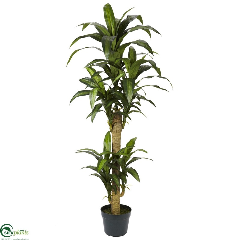 Silk Plants Direct Yucca – Green – Pack of 1 Green