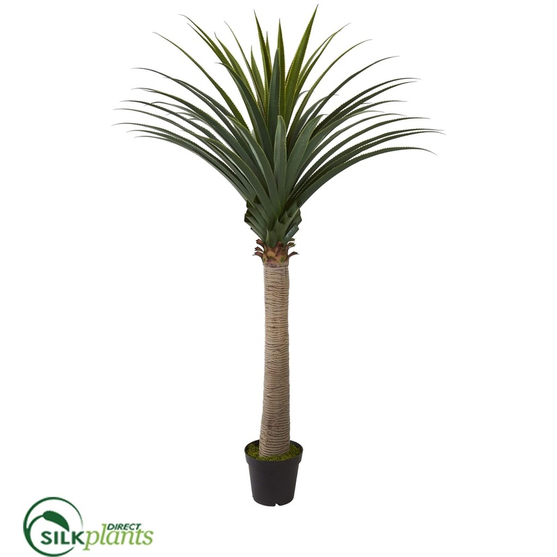 Silk Plants Direct Yucca Cane Artificial Plant – Pack of 1 Default Title