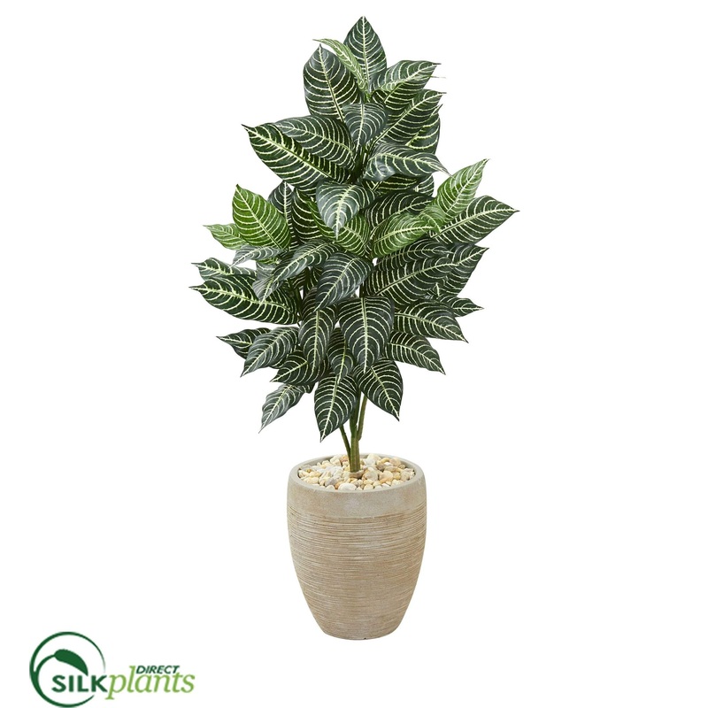 Silk Plants Direct Zebra Artificial Plant – Pack of 1