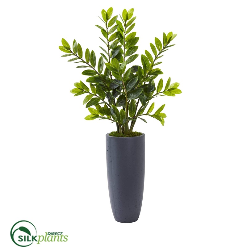 Silk Plants Direct Zamioculcas Artificial Plant – Pack of 1