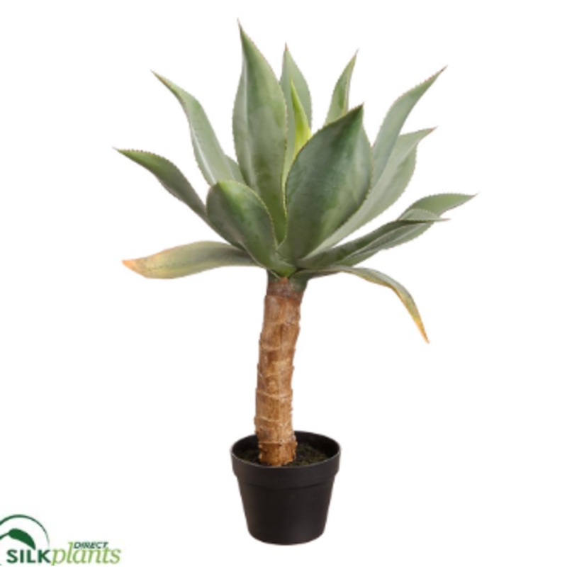 Silk Plants Direct Agave – Green – Pack of 2 Green