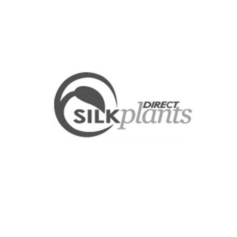 Silk Plants Direct Yucca Tree – Variegated – Pack of 2 Variegated