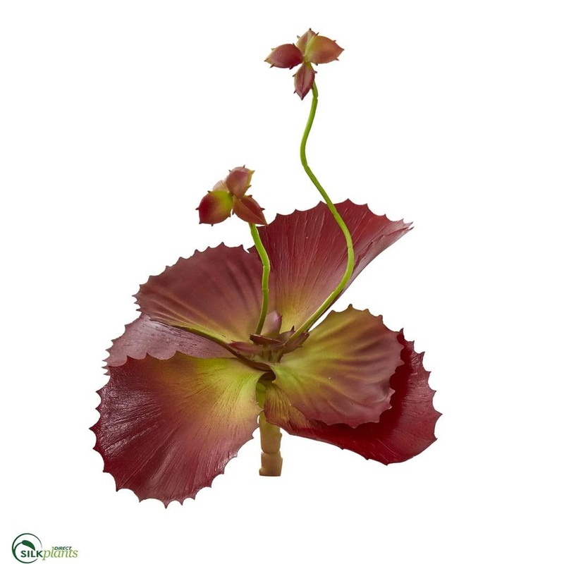 Silk Plants Direct Succulent Artificial Plant – Pack of 12 Default Title