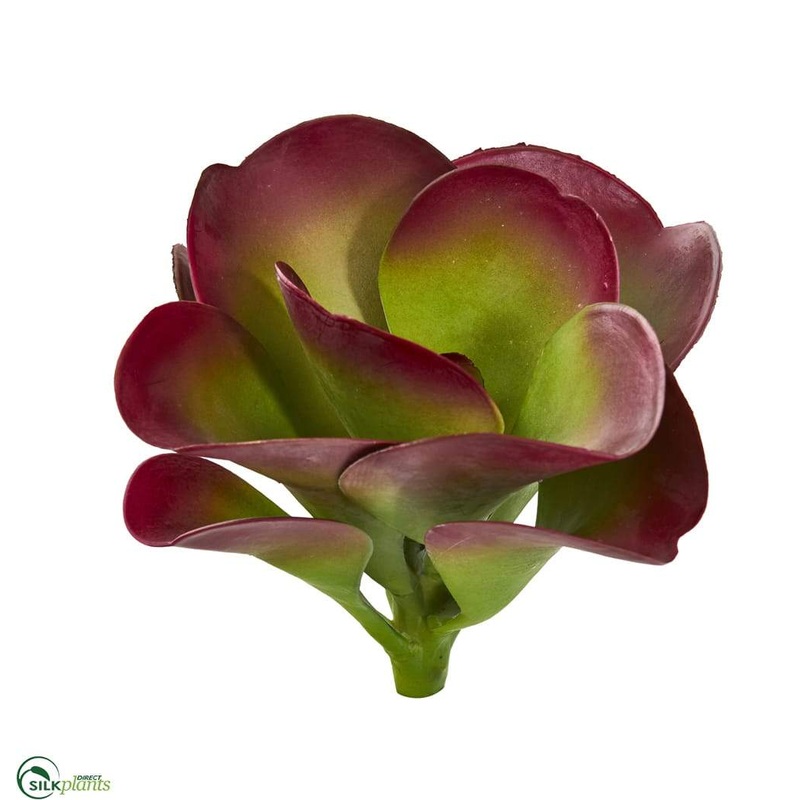 Silk Plants Direct Succulent Artificial Plant – Pack of 6 Default Title