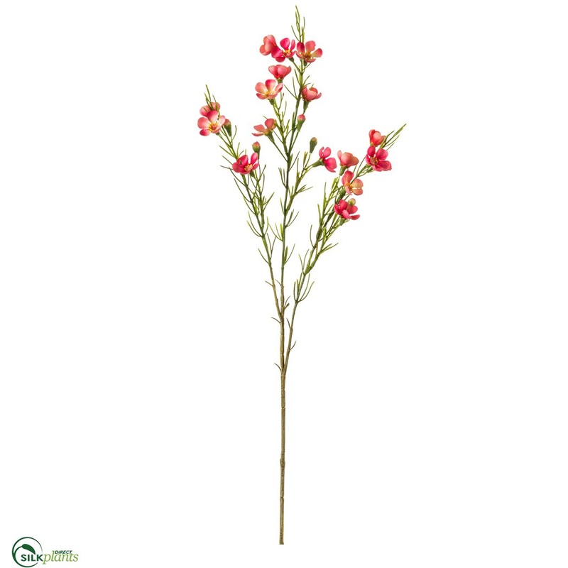 Silk Plants Direct Waxflower Spray – Beauty Two Tone – Pack of 12 Beauty Two Tone
