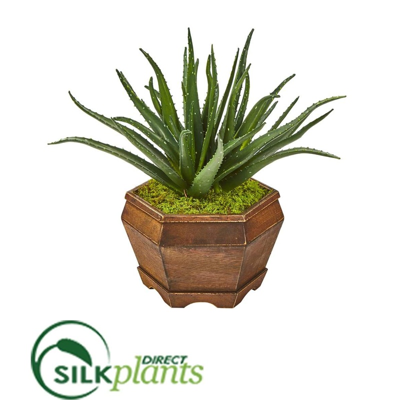 Silk Plants Direct Aloe Artificial Plant – Pack of 1 Default Title