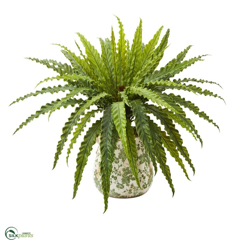 Silk Plants Direct Asplenium Artificial Plant – Pack of 1 Default Title