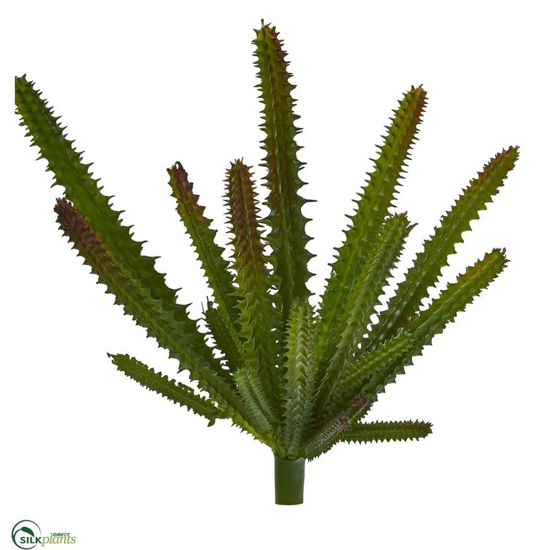 Silk Plants Direct Cactus Succulent Artificial Plant – Pack of 6 Default Title