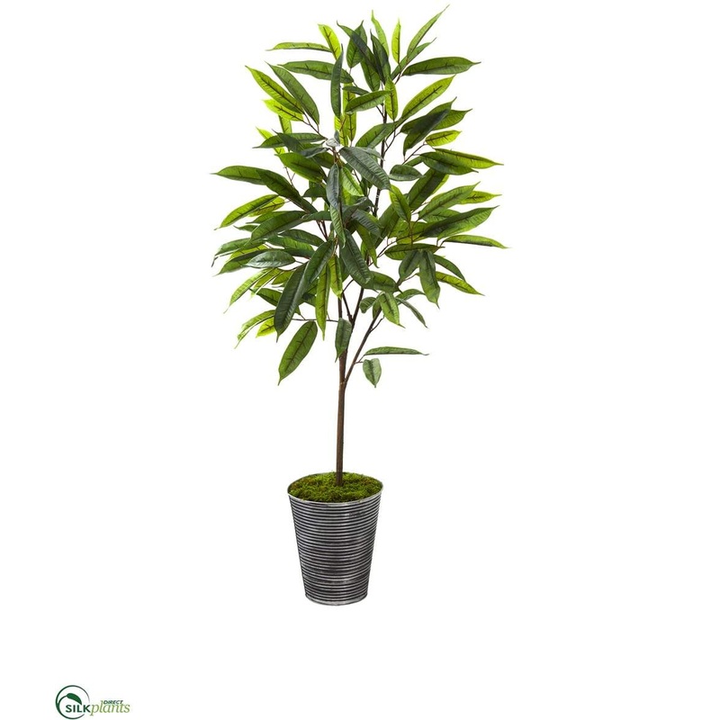 Silk Plants Direct Ficus Artificial Plant – Pack of 1 Default Title