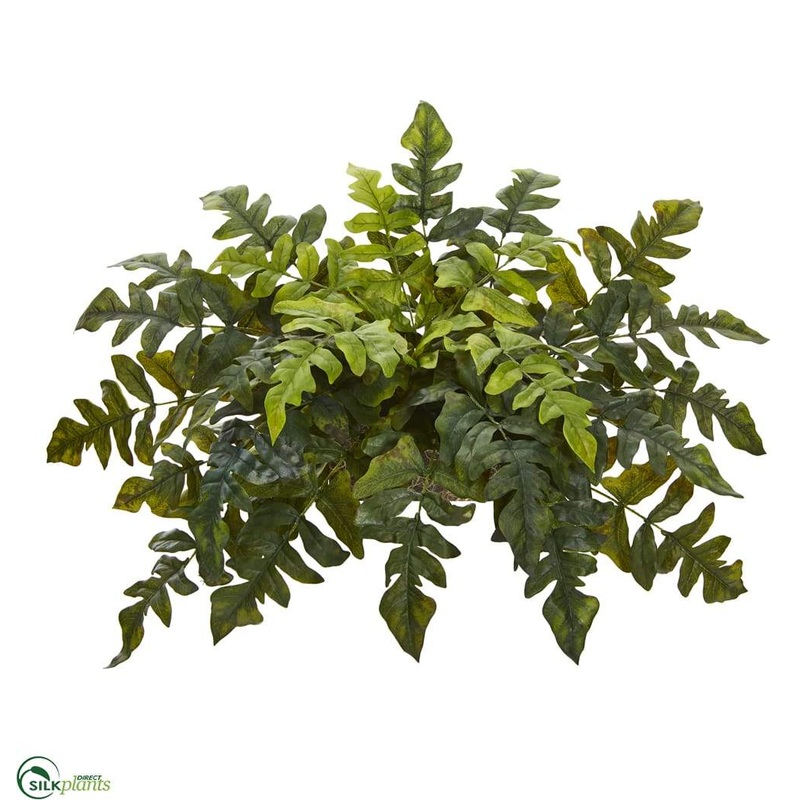 Silk Plants Direct Holly Fern Artificial Ledge Plant – Pack of 1 Default Title