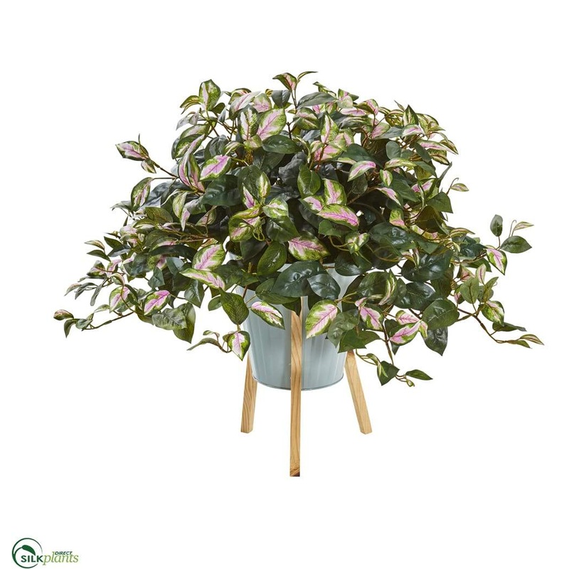 Silk Plants Direct Hoya Artificial Plant – Pack of 1 Default Title