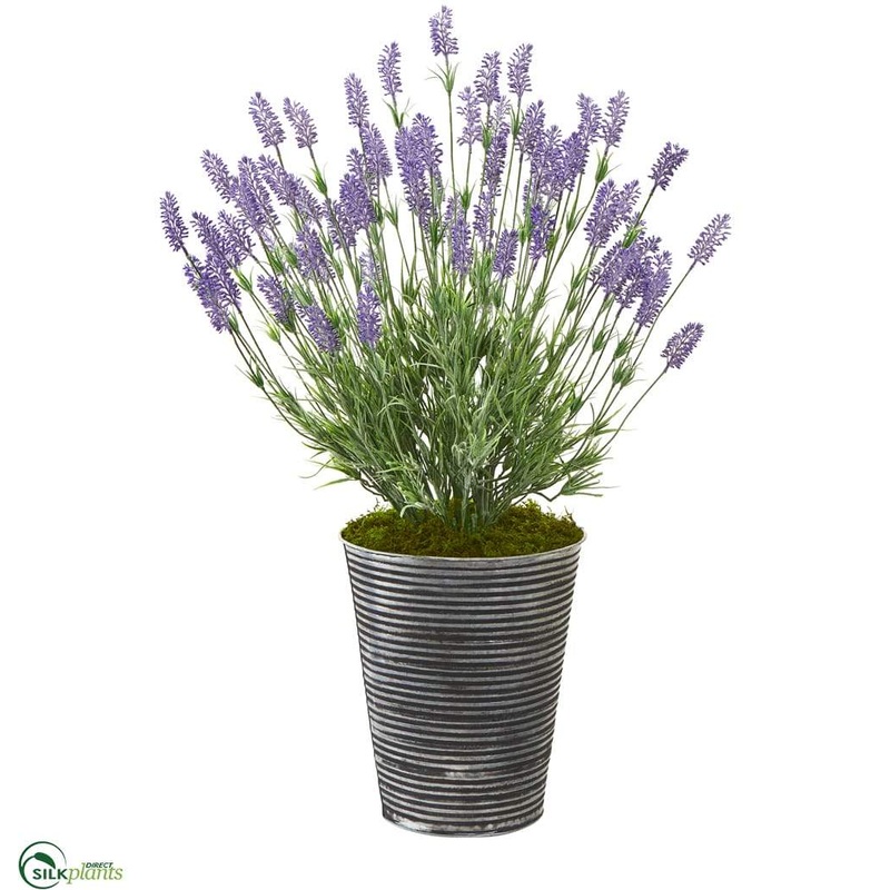 Silk Plants Direct Lavender Artificial Plant – Pack of 1 Default Title