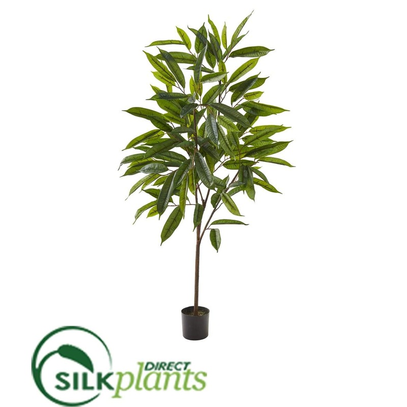Silk Plants Direct Long Leaf Ficus Artificial Plant – Pack of 1 Default Title