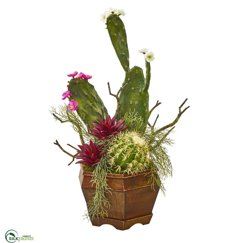 Silk Plants Direct Mixed Cactus Artificial Plant – Pack of 1 Default Title