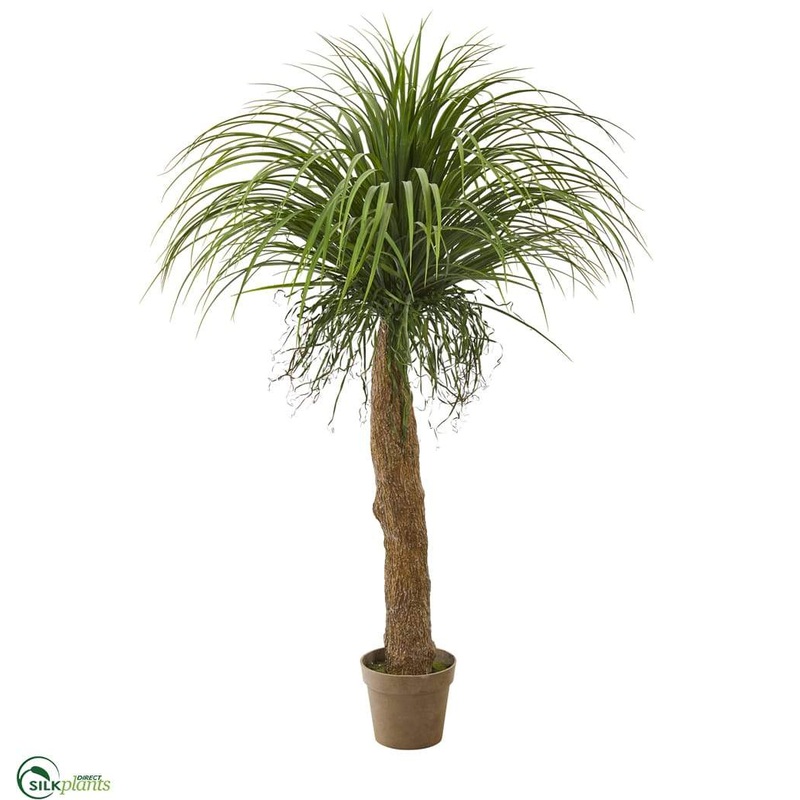 Silk Plants Direct Molina Artificial Plant – Pack of 1 Default Title