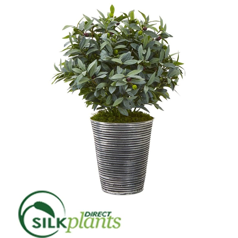 Silk Plants Direct Olive with Berries Artificial Plant – Pack of 1 Default Title