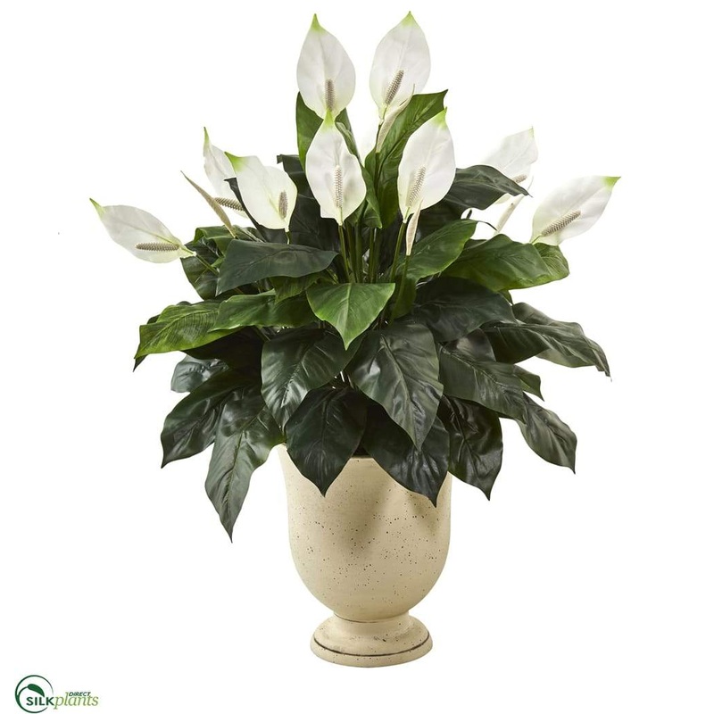 Silk Plants Direct Spathifyllum Artificial Plant – Pack of 1 Default Title